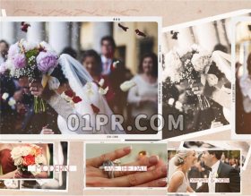 Pr婚礼电子相册模板 8张照片59秒复古简约辉光平移漂浮 Pr模板相